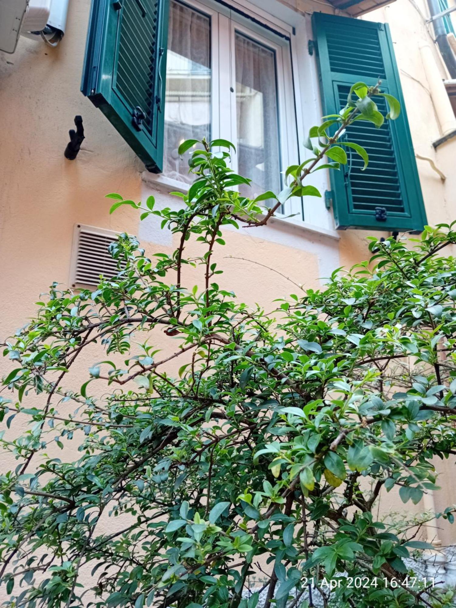 Appartamento Il Vicolo La Spezia Cinque Terre 外观 照片