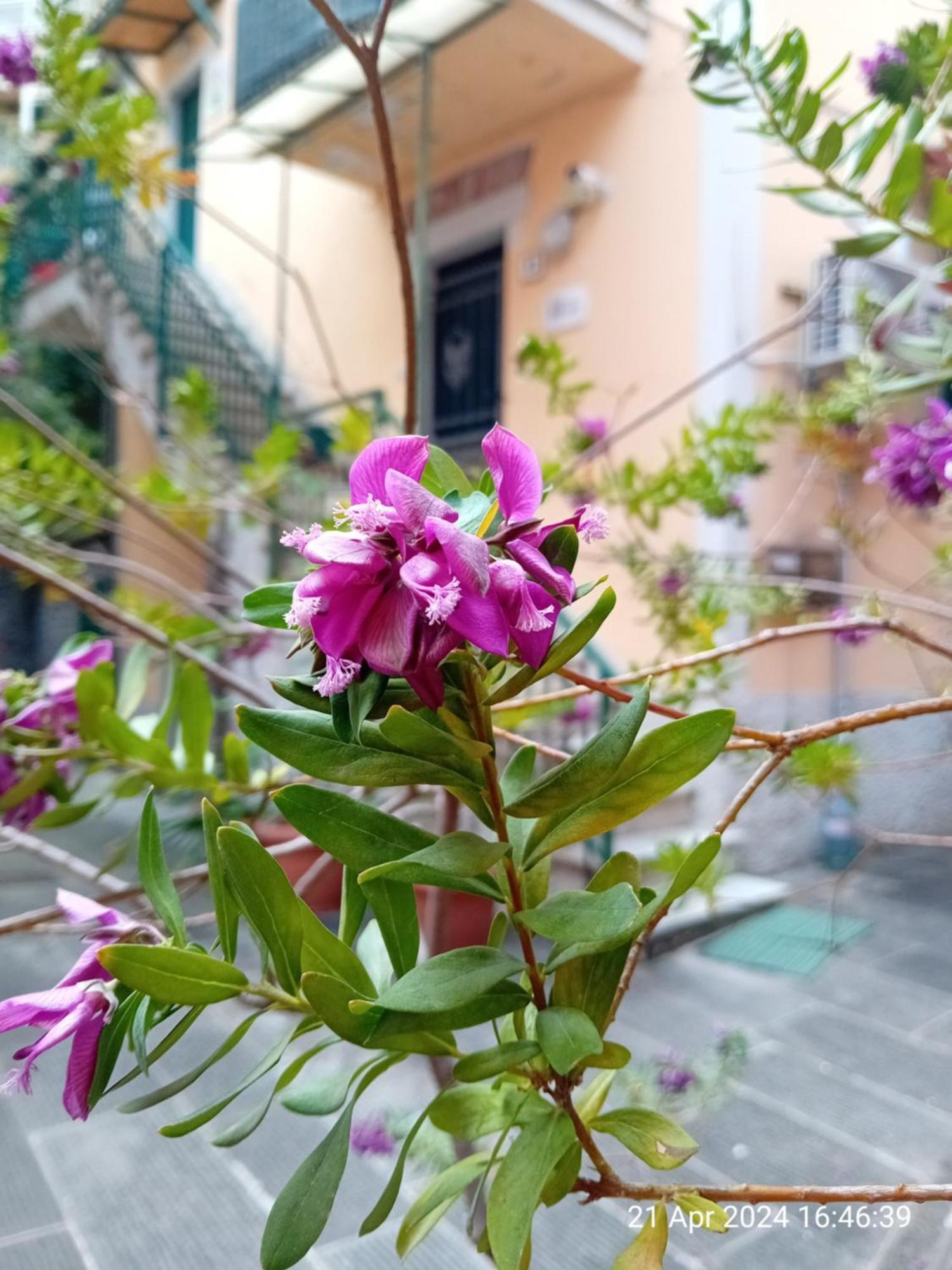 Appartamento Il Vicolo La Spezia Cinque Terre 外观 照片