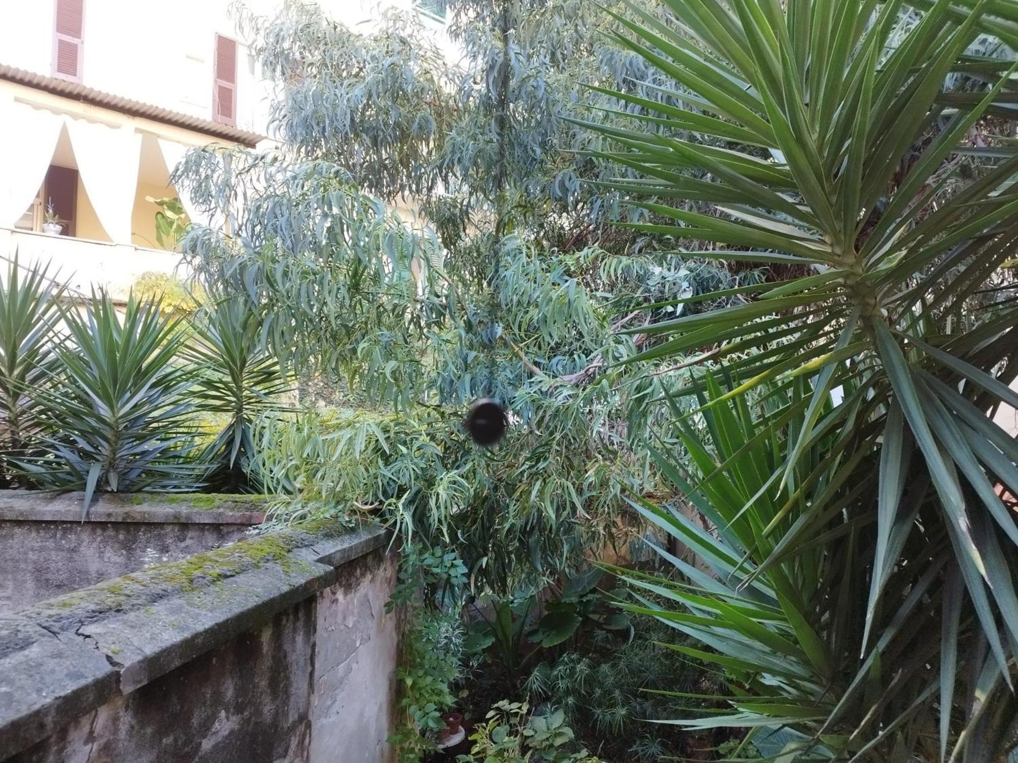Appartamento Il Vicolo La Spezia Cinque Terre 外观 照片
